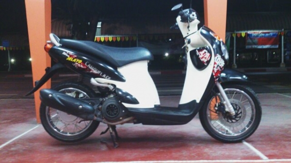 Jelato ปี 2011 ถูกๆ ต่อลองได้