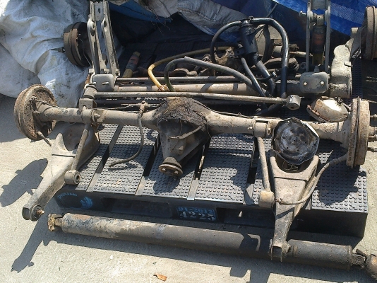 ขายเฟื่องท้าย ม้าด้าแฟมิเรีย 3500 089-1436996 บางใหญ่ นนทบุรี