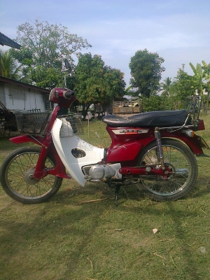 ขาย นันทิดา 8000 มี ทบ.