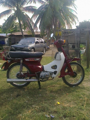 ขาย นันทิดา 8000 มี ทบ.