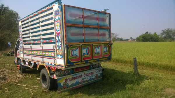 ISUZU NPR 125 ดั๊มพ์เกษตร ISUZU NPR 125 ดั๊มพ์เกษตร