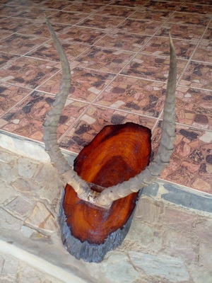 ลดราคาคะ เขาอิมพาลาใหญ่