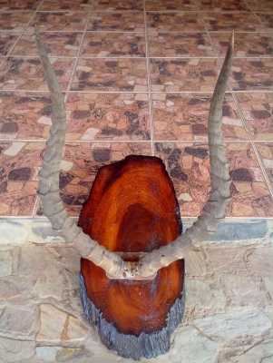 ลดราคาคะ เขาอิมพาลาใหญ่