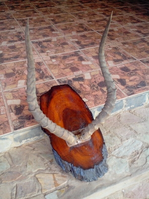 ลดราคาคะ เขาอิมพาลาใหญ่