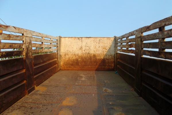 ขายด่วนรถสิบล้อหลงMAดรั้มเครือง195แรงม้าเบรดใหญ่