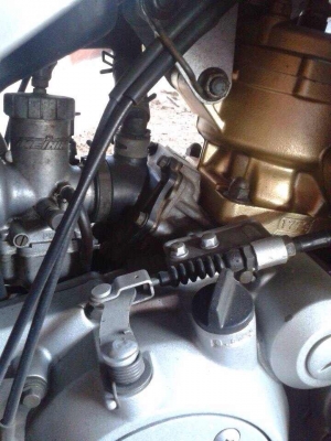 ขาย Serpigo/16,900.-