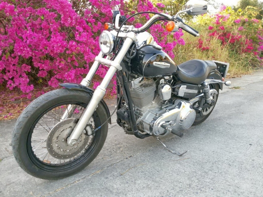 ขายหรือแลก Harley davison dina supergide 1584cc. ขายหรือแลก Harley davison dina supergide 1584cc.