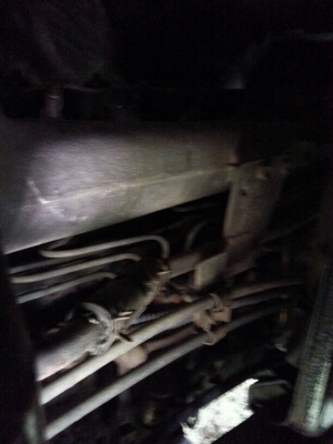 รถอีซูซุ 10 ล้อ ตู้เย็น  175 แรงม้า.  สนใจติดต่อ 081 - 6079515