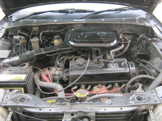 ขายฮอนด้า แอคคอร์ดตาแมว ออโตแก๊สLPG33000