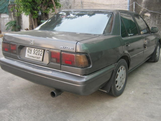 ขายฮอนด้า แอคคอร์ดตาแมว ออโตแก๊สLPG33000