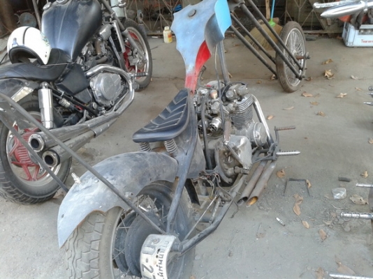 ขายหน้ายาว+ทะเบียน