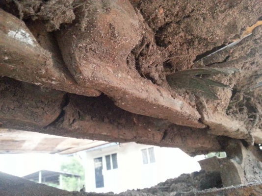 ขายรถแบคโฮ KOMATSU PC90-5 สภาพสวย