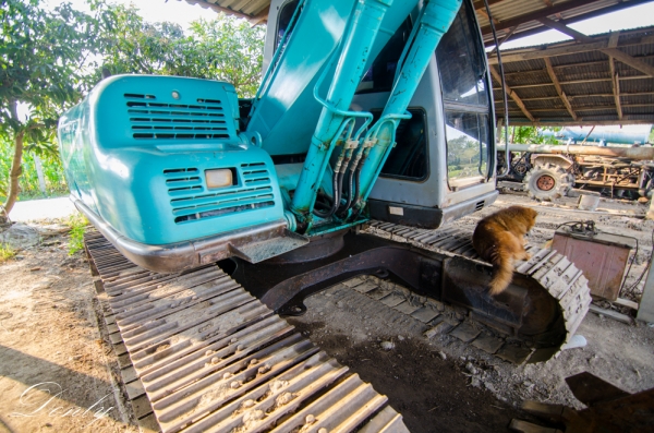 ขายแบคโฮ  KOBELCO  SK 120  ACERA   สวยกริปราคาเบาๆคับ