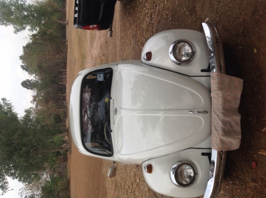 ขายโฟล์คเต่า ปี68 ขายโฟล์คเต่า ปี68