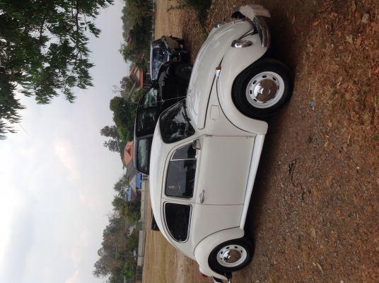 ขายโฟล์คเต่า ปี68