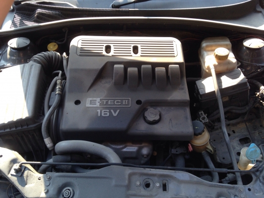 เชฟออฟต้า