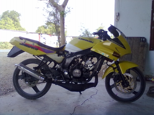 -ขายserpico ด่วน