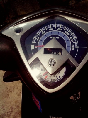 ขายมีโอไฟไหญ่