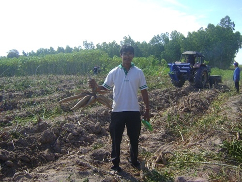 ผานขุดมันสำประหลัง ขุดแล้วหัวมันไม่ขาด ราคาถูกกว่าทุกร้าน เป็นโรงงานผลิตเอง!