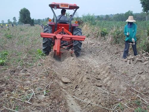 ผานขุดมันสำประหลัง ขุดแล้วหัวมันไม่ขาด ราคาถูกกว่าทุกร้าน เป็นโรงงานผลิตเอง!