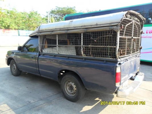 ขายรถกระบะนิสสัน ฟรอนเทียร์ตอนเดียวปี 03 เครื่องเดิม2.7 เกียร์ธรรมดา ภายในสวยเดิม เบาะหนัง ลายไม้ สะอาด เครื่องดี ช่วงล่างแน่น รถขับดีมาก ประกันชั้น1 ขายถูกครับ ขายรถกระบะนิสสัน ฟรอนเทียร์ตอนเดียวปี 03 เครื่องเดิม2.7 เกียร์ธรรมดา ภายในสวยเดิม เบาะหนัง ลายไม้ สะอาด เครื่องดี ช่วงล่างแน่น รถขับดีมาก ประกันชั้น1 ขายถูกครับ