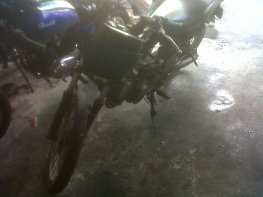 yamaha jr