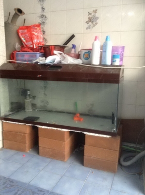ขายตู้ปลา สภาพสมบูรณ์  (ขายแล้ว)
