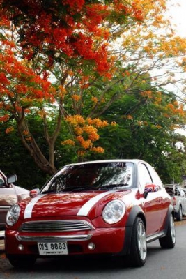 หลุดจอง Mini Cooper 199,000 ครับแปลงโฉมจาก opel corsa