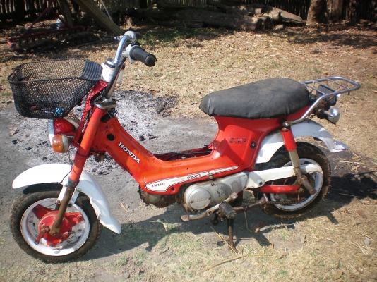 ขายรถป๊อบชาลี