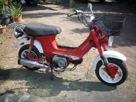 ขายรถป๊อบชาลี