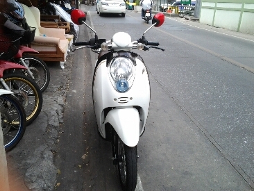 สกุบปี้iปี2552 สกุบปี้iปี2552