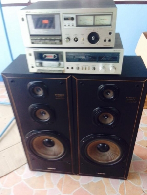 ขายลำโพง10นิ้ว เทปไบ้2ตัวเอาไปซ่อมเอง1000