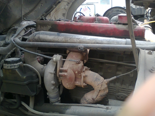 ขายหัวลากโปเชีย