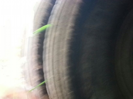 รถอีซูซุ 10 ล้อ พื้นเรียบ FVZ 280 แรงม้า. ปี 38 ( ขายแม่ , ลูก ) ( ราคา 950,000 บาท. !! ) สนใจติดต่อ 081 - 6079515 รถอีซูซุ 10 ล้อ พื้นเรียบ FVZ 280 แรงม้า. ปี 38 ( ขายแม่ , ลูก ) ( ราคา 950,000 บาท. !! ) สนใจติดต่อ 081 - 6079515