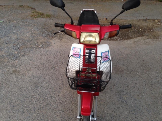 ดรีมตูดเป็ด