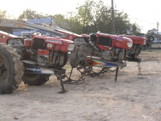 ขายเดินตามครับ