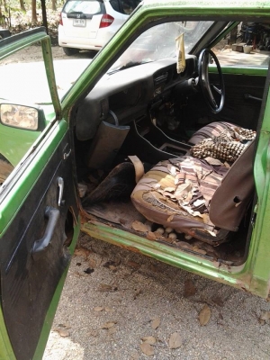 ขายกระบะ ดัสสัน