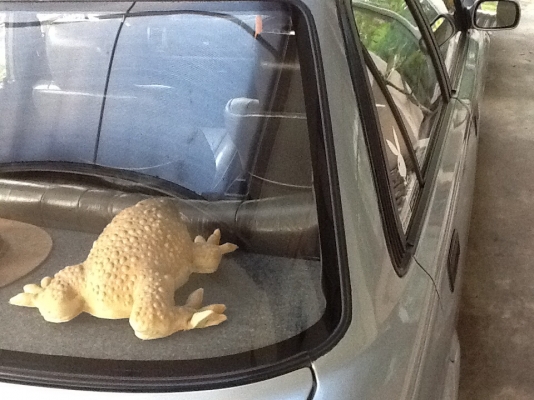 โตโยต้า  โคโรร่า สามห่วง 1.3 Gli  ปี 91