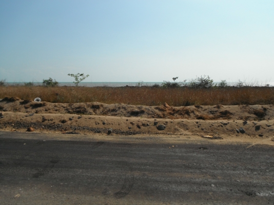 ขายที่ดินชายทะเล