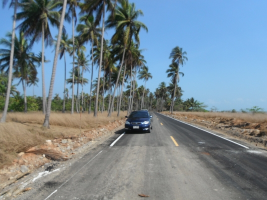 ขายที่ดินชายทะเล