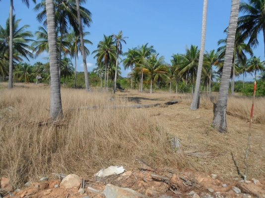 ขายที่ดินชายทะเล