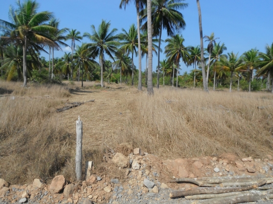 ขายที่ดินชายทะเล