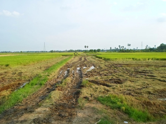 ขายด่วน " ที่ดิน อ.เมือง พิษณุโลก " 13 ไร่ เจ้าของขายเอง ขายด่วน " ที่ดิน อ.เมือง พิษณุโลก " 13 ไร่ เจ้าของขายเอง