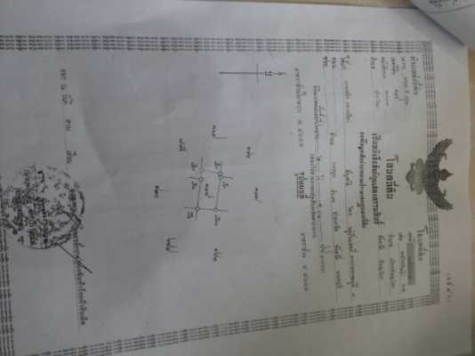 ขายด่วน " ที่ดิน อ.เมือง พิษณุโลก " 13 ไร่ เจ้าของขายเอง ขายด่วน " ที่ดิน อ.เมือง พิษณุโลก " 13 ไร่ เจ้าของขายเอง