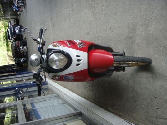 ฟีโน่ 10000 เดียว ฟีโน่ 10000 เดียว