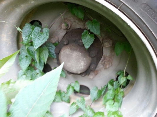 ขายหางพ่วง พื้นเรียบ 2 เพลา. ปี 34 สนใจติดต่อ 081 - 6079515 ขายหางพ่วง พื้นเรียบ 2 เพลา. ปี 34 สนใจติดต่อ 081 - 6079515