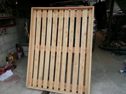 ต้องการซื้อไม้ยูคา