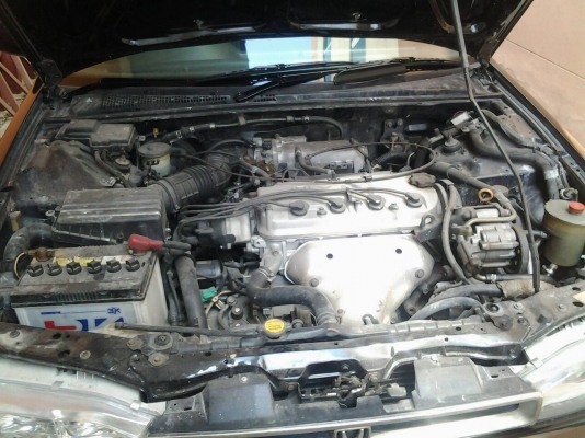 ขาย แอคคอด ครับ