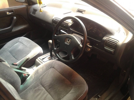 ขาย แอคคอด ครับ