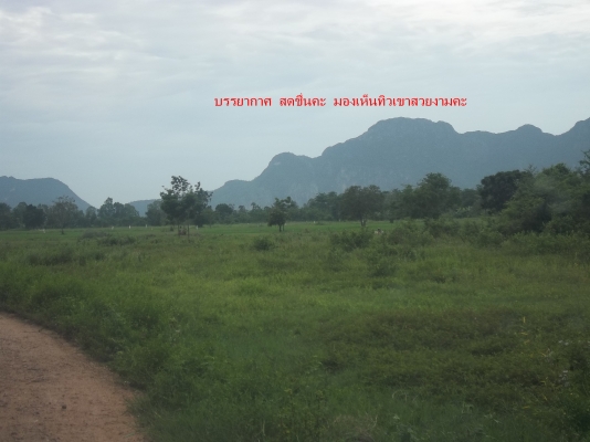 ที่ดินจังหวัดประจวบคีรีขันธ์ ที่ดินจังหวัดประจวบคีรีขันธ์